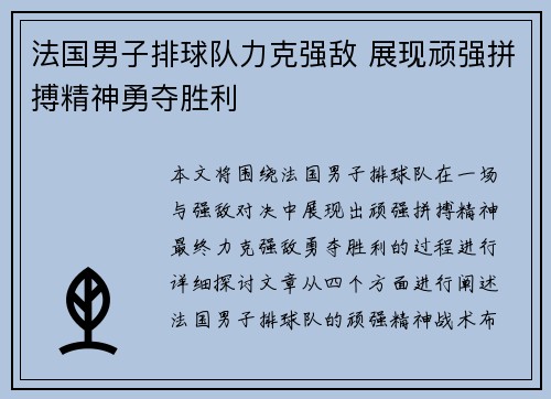 法国男子排球队力克强敌 展现顽强拼搏精神勇夺胜利