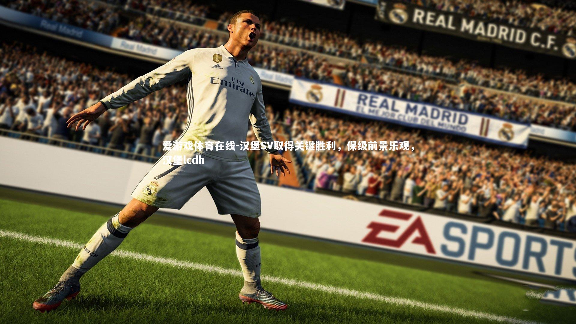 汉堡SV取得关键胜利，保级前景乐观，汉堡lcdh