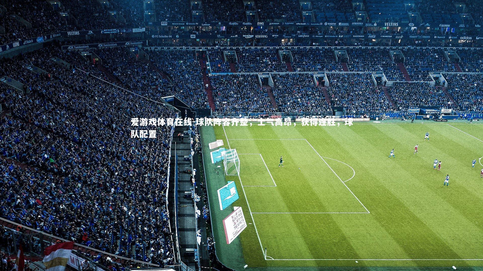 球队阵容齐整,士气高昂,获得连胜,球队配置