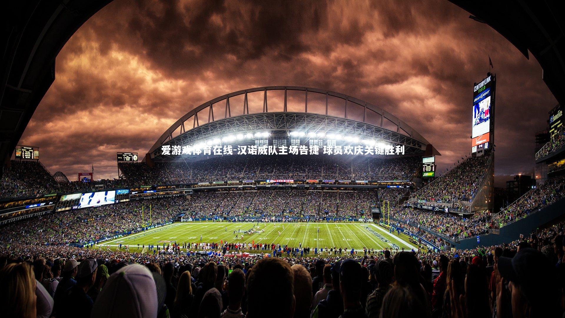 汉诺威队主场告捷 球员欢庆关键胜利