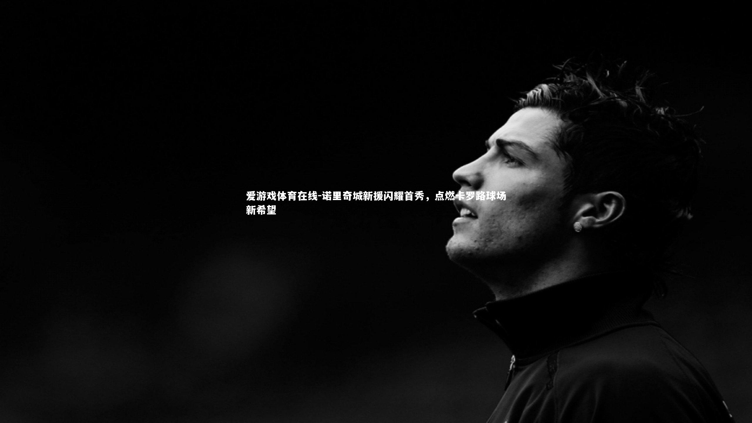 爱游戏体育在线-诺里奇城新援闪耀首秀，点燃卡罗路球场新希望